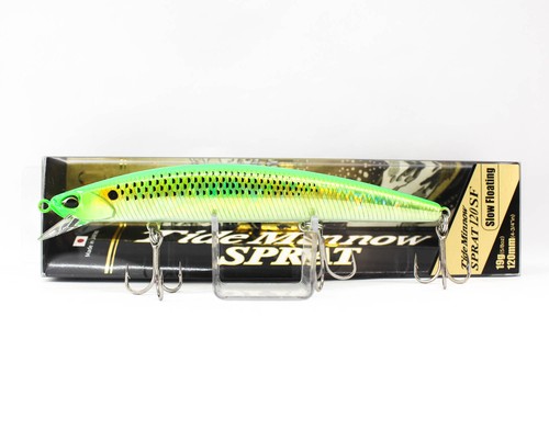 Duo tide minnow - minnow, sprat