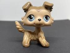 Littlest Petshop Lps #893 Chien Colley Dog Authentic
