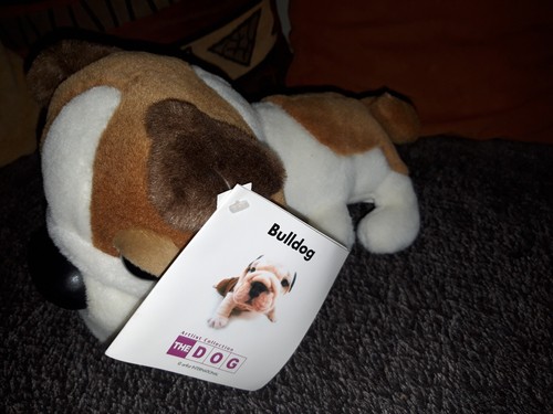 Peluche doudou chien - doudou,