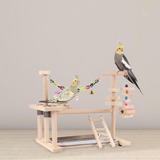 Aire de jeux pour perroquets
