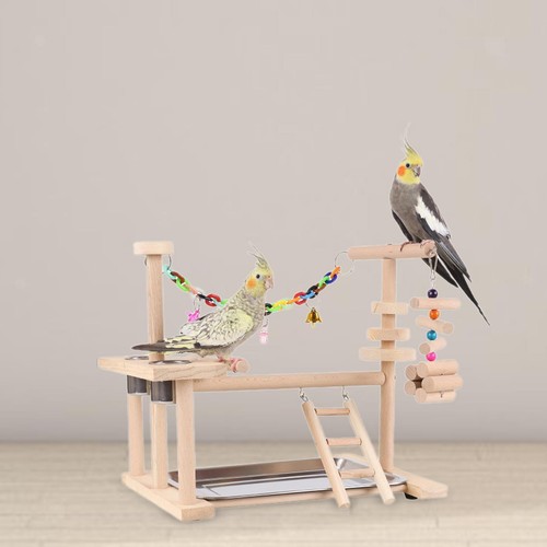 Aire jeux pour perroquets - de,