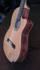 Di Giorgio Guitar  * Talent II