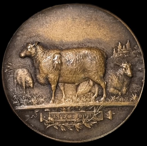 Médaille société - médaille,