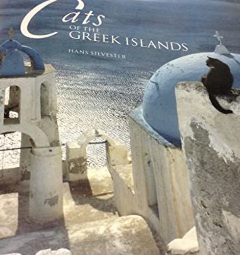 Chats des îles grecques - des,