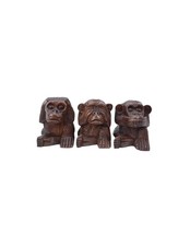 Les singes sagesse en - les, la