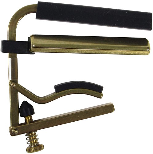 Shubb c6b dobro capo pour - shubb,