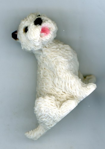 Castagna dog italy - dog,