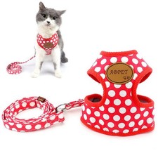 Harnais et Laisse Set pour