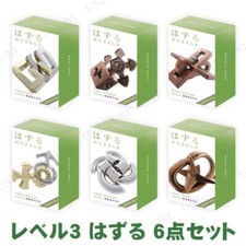 Niveau 3 HUZZLE Cast X6P Set