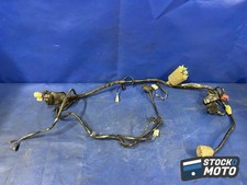 Faisceau électrique