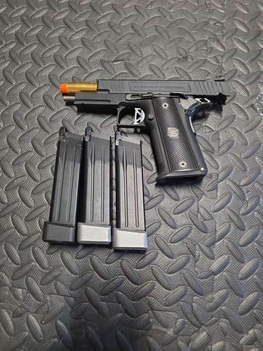 Salient arms 2011 ds - 4.3,