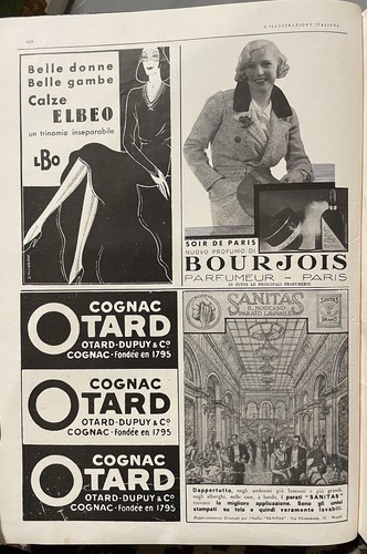 Elbeo otard sanitas bourjois - elbeo,