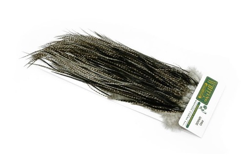 Whiting farms rooster hebert - farms,
