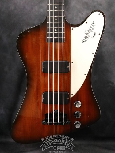 Gibson 1991 thunderbird - 1991,