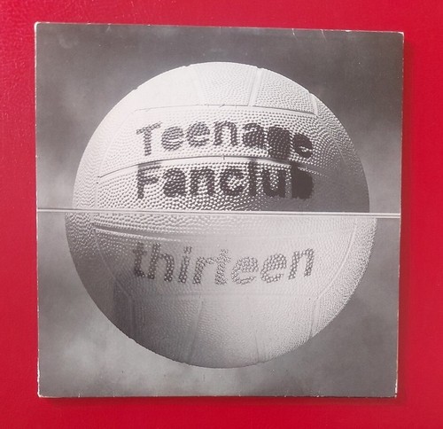Teenage fan club thirteen - club,