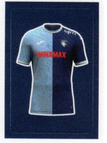 Sticker panini foot 2024 - sticker,