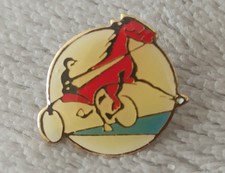 Pins PMU tiercé turf cheval