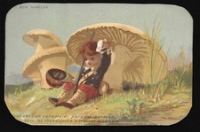 Qui veut un parapluie -