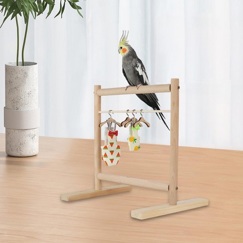 Perroquet perche stand oiseau - stand,