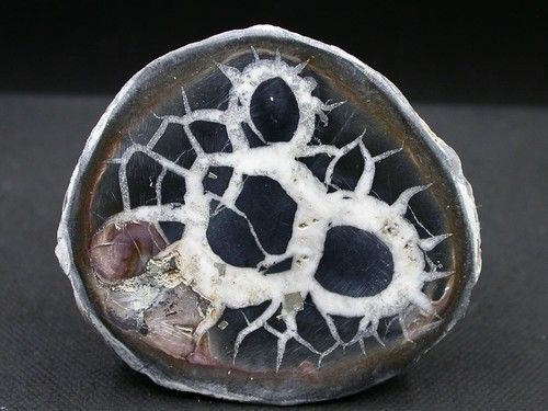 Septaria maroc x 4 6 - septaria,