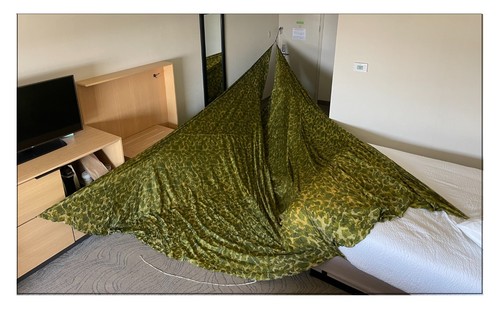 Ww2 parachute 101st - ww2, us