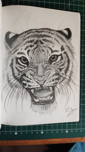 Illustration tigre dessin aux - tigre,,