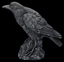 Corbeau Figurine - raven Messenger - Gothique Déco Fantaisie Hauteur 24 CM Magie