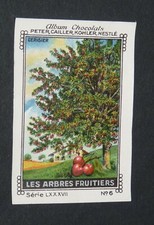 CHROMO PETER CAILLER KOHLER