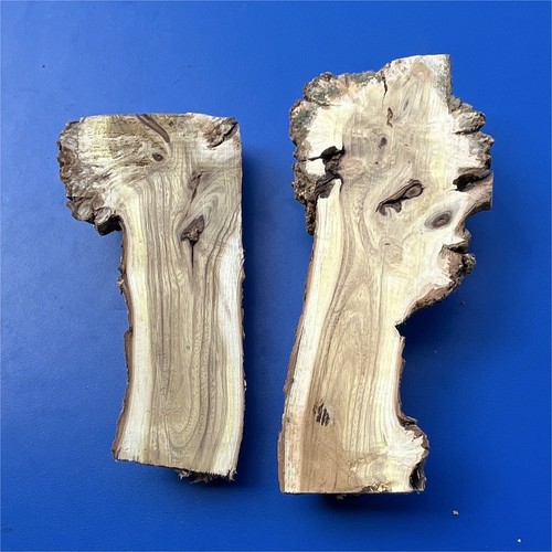 Lot ébauches bois - 2, acacia