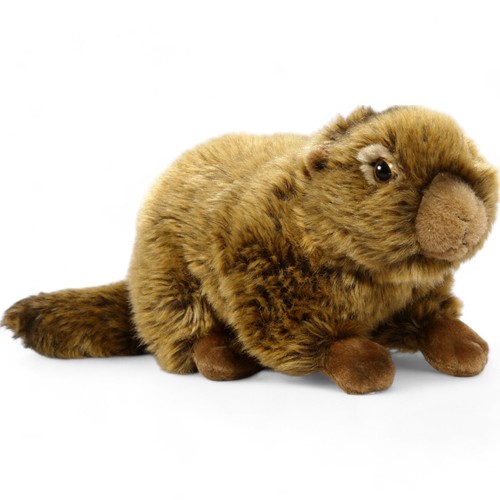 Carl dick marmotte couchée - dick,