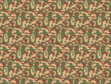 [FFSMC Productions] Camo URSS