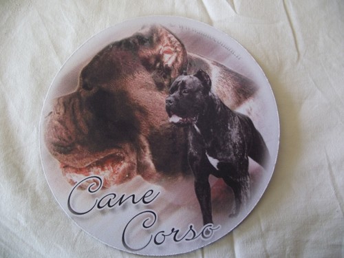 Tapis souris cane - souris, corso