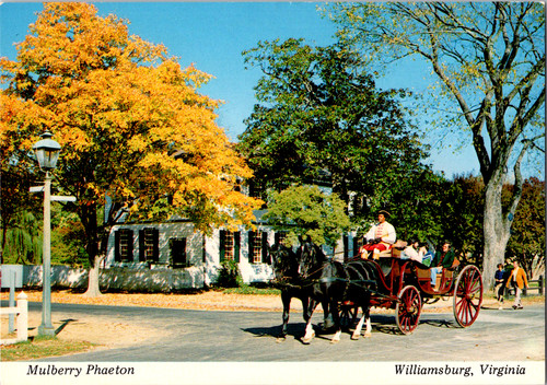 Vintage postcard mulberry - vintage,