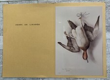 Henri DE LINARES Invitation Carte Programme Photographie Chasse Canard Siffleur