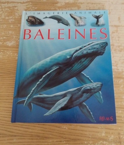Livre les baleines - livre,