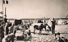 62 CALAIS LE DEPART DE LA