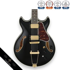 Guitare électrique creuse
