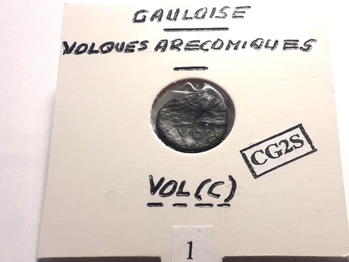 Gauloise volques arecomiques - gauloise,