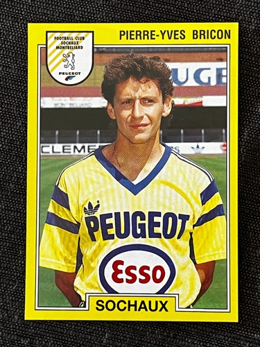 Vignette sticker panini - panini, foot