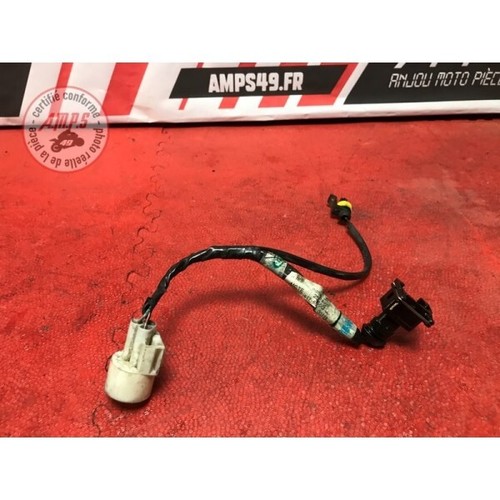 Faisceau moteur triumph - faisceau, 675