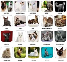 Félin chat abat jour - chat, races