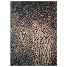 Vogelaugen Placage Gemuschelt