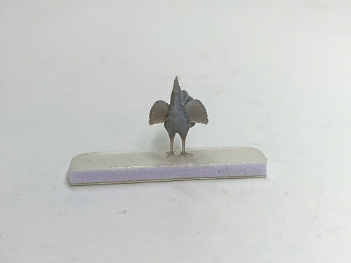 Diorama coq 12 8 - -, 12.8