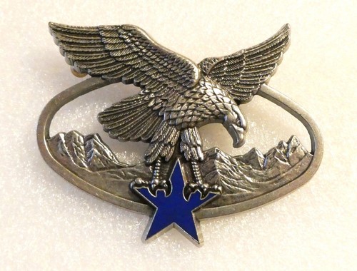 Chasseurs alpins brevet - chasseurs,