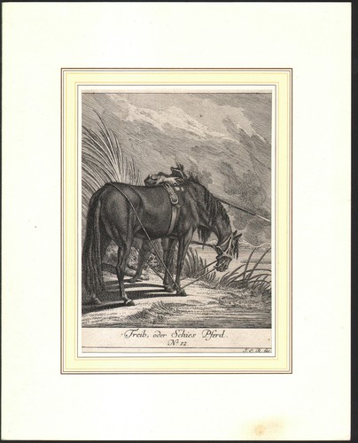 1753 gravure originale johann - gravure,