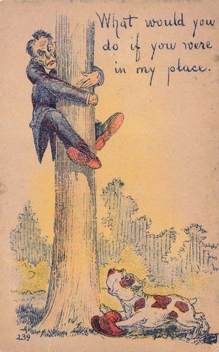 Postcard dog unusual old - dog,