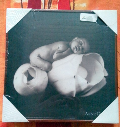 Anne geddes tableau cadre - geddes,