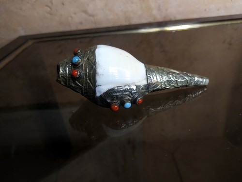 Ancien coquillage turquaise - ancien,