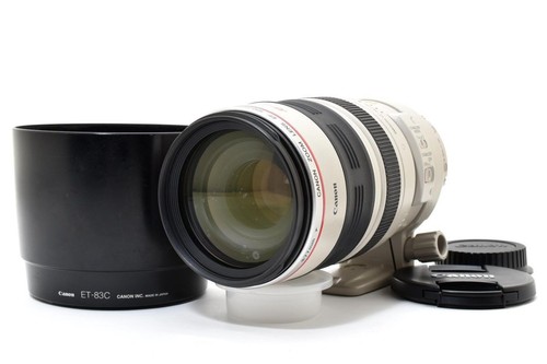 Canon 100 400mm - canon, f4.5-5.6l
