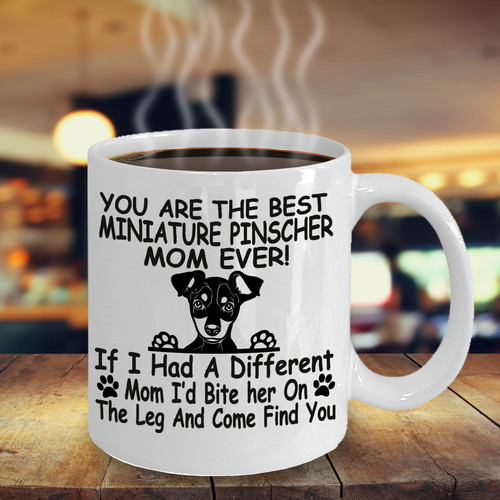 Miniature pinscher - miniature,